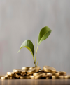 Kadin Optimistis Target Investasi Rp1.400 Triliun Tercapai Berkat Ini